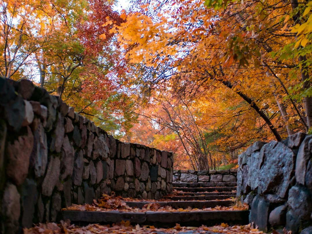 Strakke muren schilderen: kleurkeuzes voor een gezellige herfst